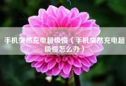 手机突然充电超级慢（手机突然充电超级慢怎么办）