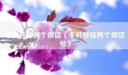 手机登陆两个微信（手机登陆两个微信号）