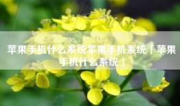 苹果手机什么系统苹果手机系统「苹果手机什么系统」
