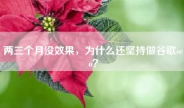 两三个月没效果，为什么还坚持做谷歌seo？