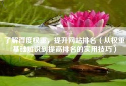 了解百度权重，提升网站排名（从权重基础知识到提高排名的实用技巧）