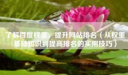 了解百度权重，提升网站排名（从权重基础知识到提高排名的实用技巧）