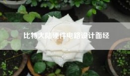 比特大陆硬件电路设计面经