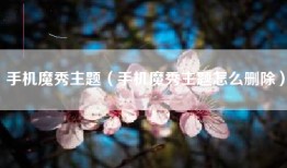 手机魔秀主题（手机魔秀主题怎么删除）