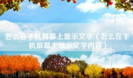 怎么在手机屏幕上显示文字（怎么在手机屏幕上显示文字内容）