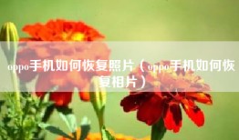 oppo手机如何恢复照片（oppo手机如何恢复相片）