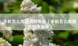 手机怎么传图片到电脑（手机怎么传图片到电脑快）