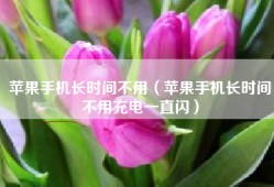 苹果手机长时间不用（苹果手机长时间不用充电一直闪）