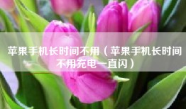 苹果手机长时间不用（苹果手机长时间不用充电一直闪）