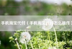 手机淘宝代付（手机淘宝代付怎么操作）