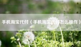 手机淘宝代付（手机淘宝代付怎么操作）