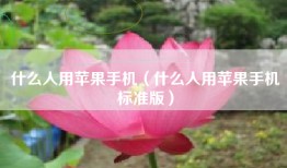 什么人用苹果手机（什么人用苹果手机标准版）