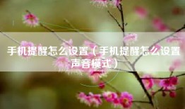 手机提醒怎么设置（手机提醒怎么设置声音模式）