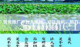 优化推广平台大揭秘，对比分析，助力精准营销选优平台