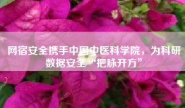 网宿安全携手中国中医科学院，为科研数据安全“把脉开方”