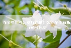 百度推广的计费方式是什么？全面解析与案例分享