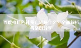 百度推广的计费方式是什么？全面解析与案例分享