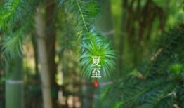三四组合有财气是指什么生肖，准确解释精准落实
