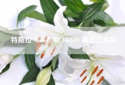 特斯拉 Model3 和 ModelY 要怎么选择
