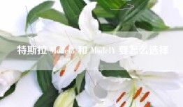 特斯拉 Model3 和 ModelY 要怎么选择