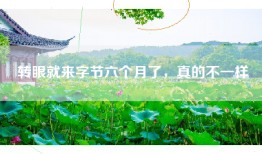 转眼就来字节六个月了，真的不一样
