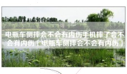 电瓶车侧摔会不会有内伤手机摔了会不会有内伤「电瓶车侧摔会不会有内伤」