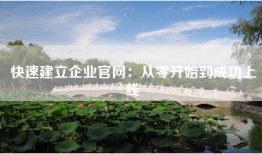 快速建立企业官网：从零开始到成功上线