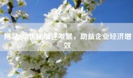 网站SEO优化加速发展，助益企业经济增效