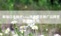 解锁日本雅虎Yahoo搜索广告推广品牌营销独具优势