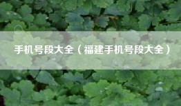 手机号段大全（福建手机号段大全）
