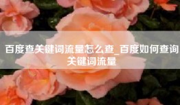 百度查关键词流量怎么查_百度如何查询关键词流量