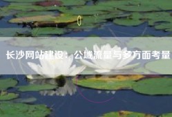 长沙网站建设：公域流量与多方面考量