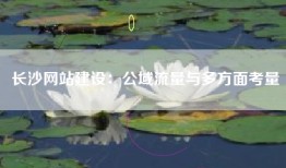 长沙网站建设：公域流量与多方面考量