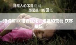 短视频SEO排名优化，短视频营销 获客 系统