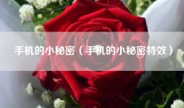 手机的小秘密（手机的小秘密特效）