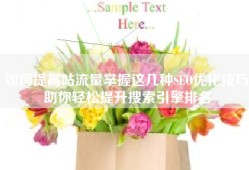 如何提高站流量掌握这几种SEO优化技巧助你轻松提升搜索引擎排名