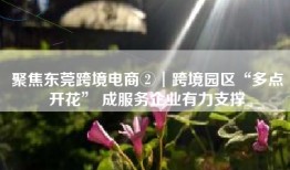 聚焦东莞跨境电商②︱跨境园区“多点开花” 成服务企业有力支撑