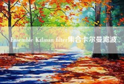Ensemble Kalman filter集合卡尔曼滤波