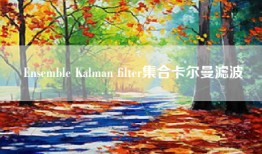 Ensemble Kalman filter集合卡尔曼滤波