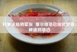 科索沃局势紧张  塞尔维亚总统武契奇：被逼到墙边