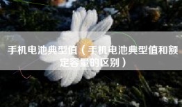 手机电池典型值（手机电池典型值和额定容量的区别）