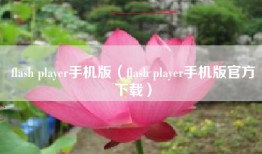 flash player手机版（flash player手机版官方下载）