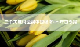 三个关键词透视中国经济2024年首季报