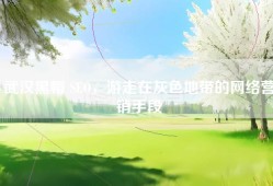 武汉黑帽 SEO，游走在灰色地带的网络营销手段