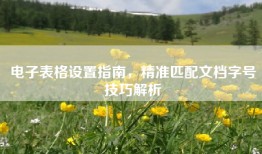 电子表格设置指南，精准匹配文档字号技巧解析