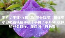 手机／手环NFC模拟加密卡教程，超详细小白必看钱包手机「手机／手环NFC模拟加密卡教程，超详细小白必看」