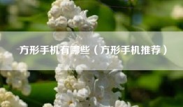 方形手机有哪些（方形手机推荐）