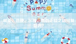 喊麦、造梗、出圈，曹县走红之路可复制吗？