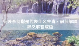 徒唤奈何指是代表什么生肖·最佳解释释义解答成语