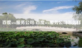百度seo服务公司-百度seo服务公司怎么样